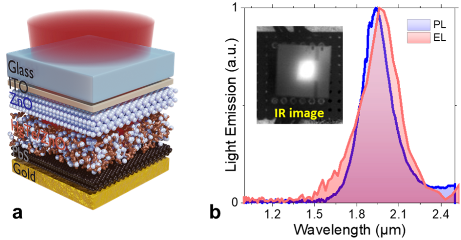 Caption: (a) Schematic of the ITO / ZnO / HgTe:ZnO / PbS / Au layer stack constituting the LED nanocrystal. ITO is a doped indium oxide which is transparent and through which the light extraction takes place (in red). (b) Electroluminescence (light emitted after excitation by a current) and photoluminescence (light emitted after excitation by visible light) spectra of the LED, both centered around 2 µm. Insert: infrared image of the LED in operation, the active area is about 5 mm on this image.
