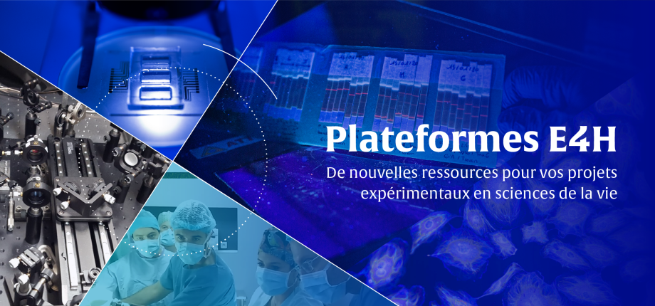 Plateformes scientifiques et technologiques E4H