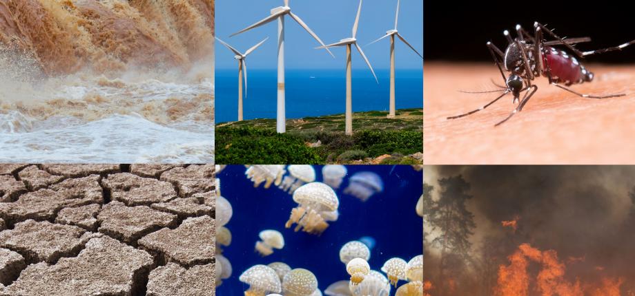 E4C contribue au Premier rapport sur le changement climatique et environnemental en méditerranée