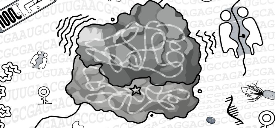 Explorer les secrets du métabolisme de l'ARN des micro-organismes extrêmophiles