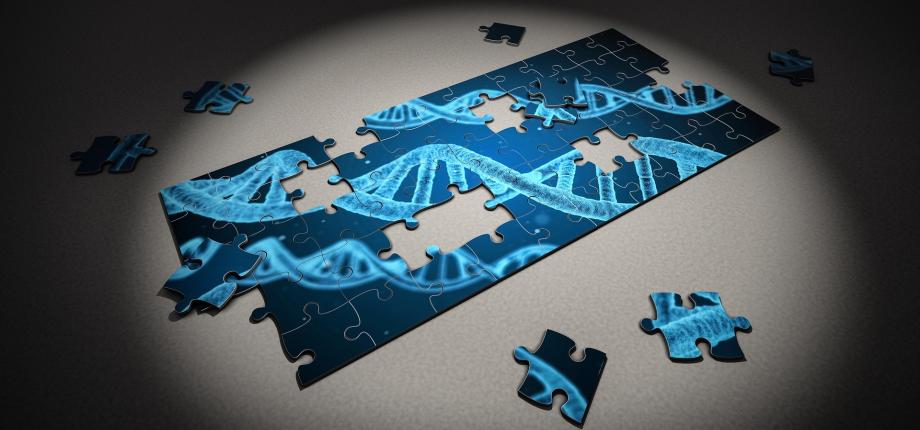 Des structures particulières de l’ADN éclairent l’évolution du virus de l’hépatite B