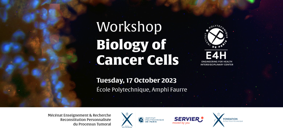 Workshop : Biology of Cancer Cells
