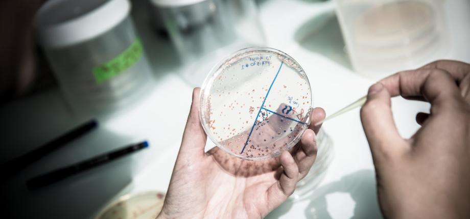 La mécanique enzymatique, levier d’action contre l’antimicrobiorésistance