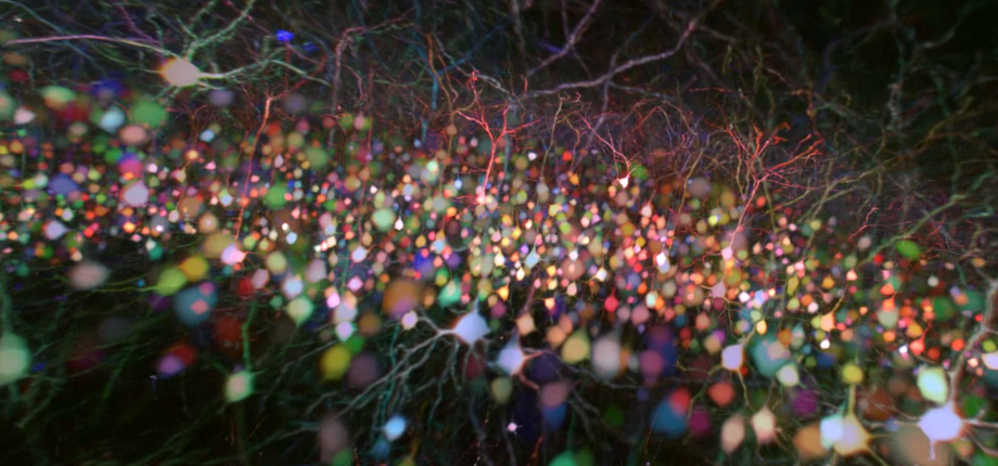 Microscopie multi-photons…et multifacettes
