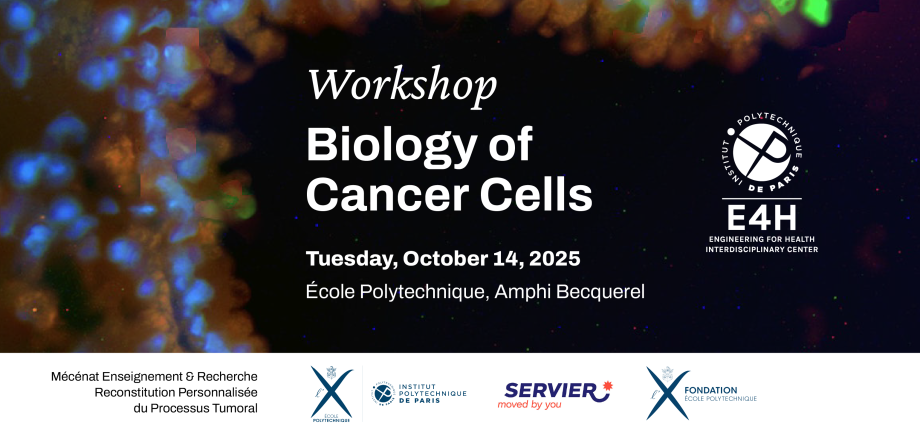 Workshop Biology of Cancer Cells 2025
