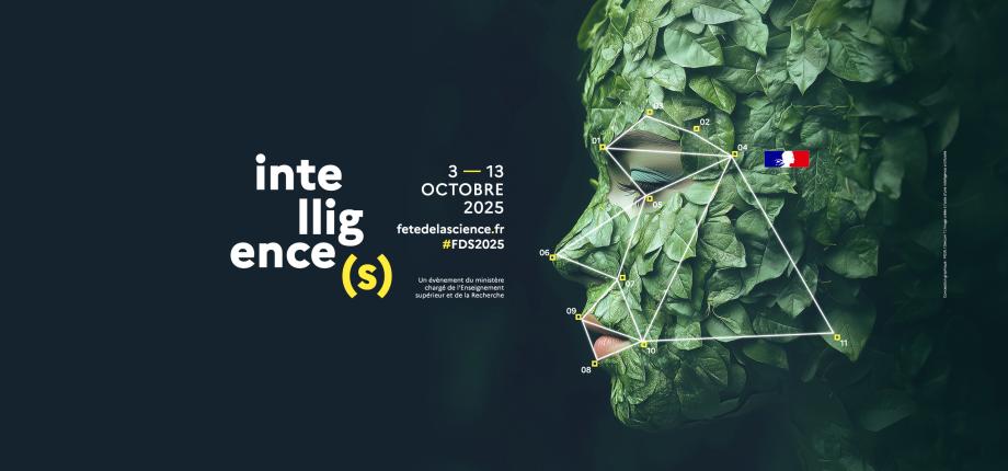 Celebrate Science Day at the Institut Polytechnique de Paris