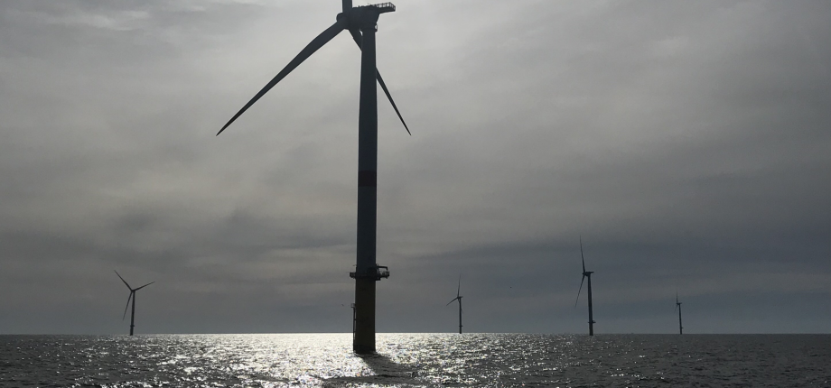 At IP Paris, fluid mechanics is being used to develop floating wind turbines and diversify energy sources