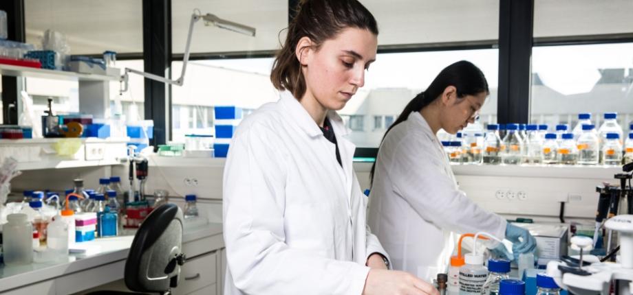 Key research partnerships
