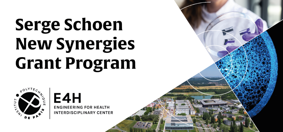 Serge Schoen New Synergies Grant Program