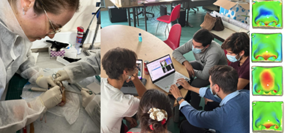 Master Year 2 Mechanical Engineering for Clinicians (MECENCLI)