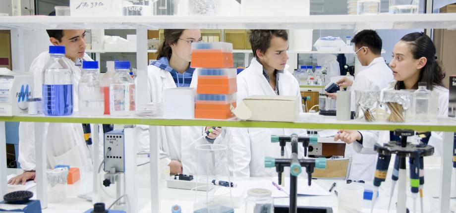 Master 2 Chimie et Interfaces