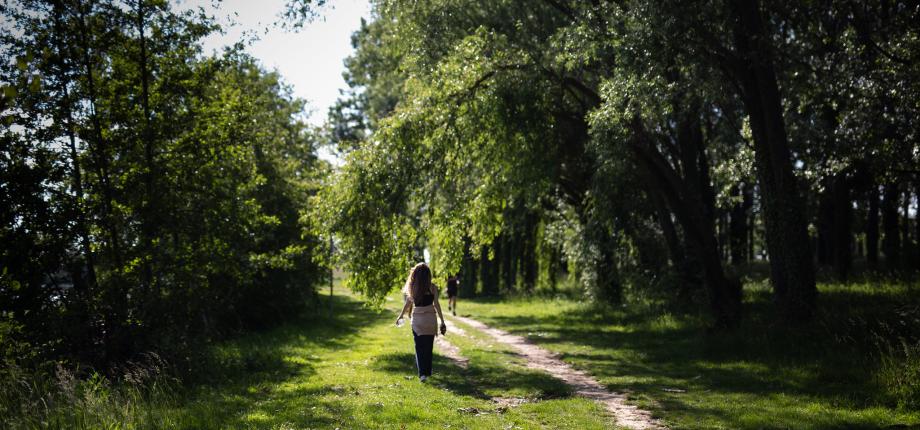 Master 2 Économie de l’Environnement et du Développement Durable