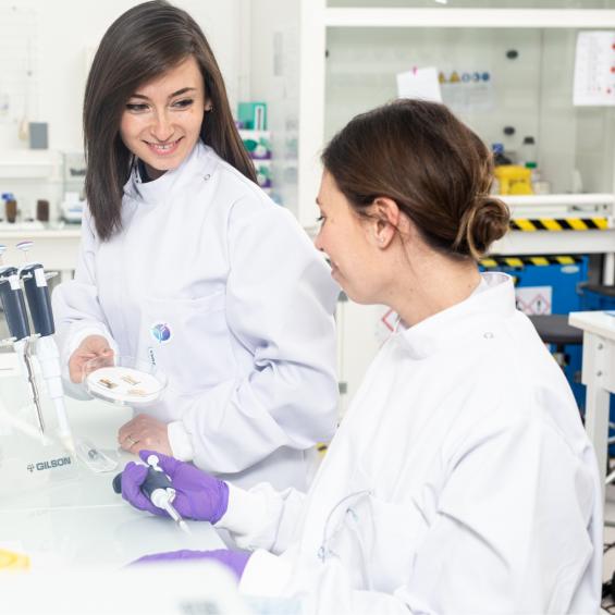 Doctorat à IP Paris : Repousser les frontières de la science