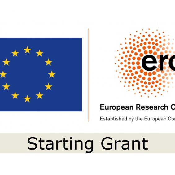 Three IP Paris researchers awarded with ERC Starting Grants