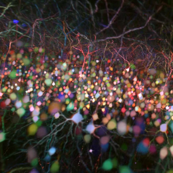 Multi-photon microscopy...and many facets