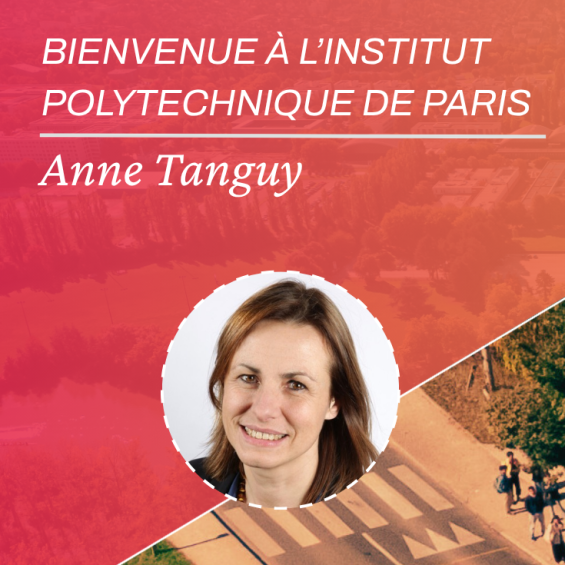 Amorphous Materials and Simulation: The Art of Disorder by Anne Tanguy
