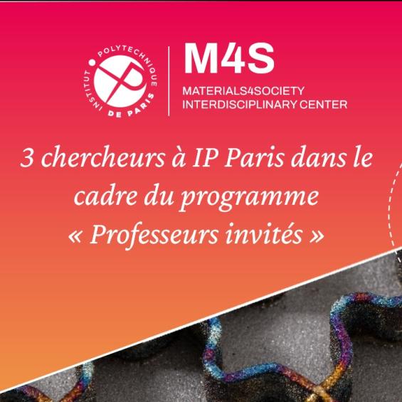 Visite de trois chercheurs internationaux dans le cadre du programme "Professeurs invités" du centre M4S