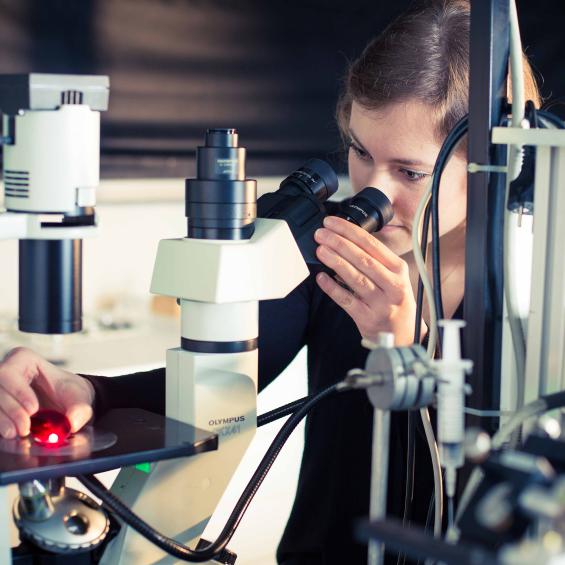 Health Engineering Program