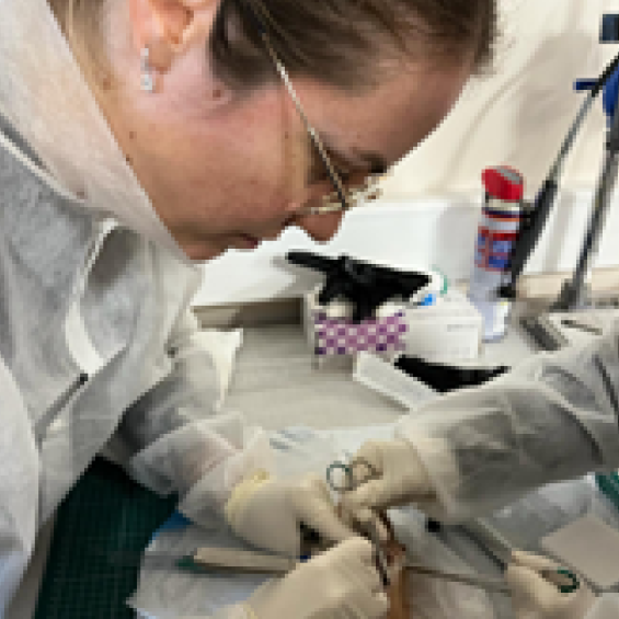 Master Year 2 Mechanical Engineering for Clinicians (MECENCLI)