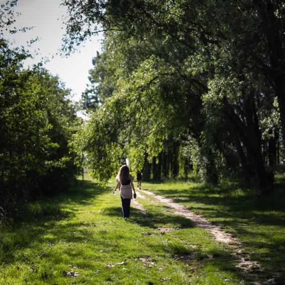 Master Year 2 in Environmental and Sustainable Development Economics