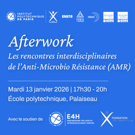 After-Work Event: The AMR Interdisciplinary Meetings