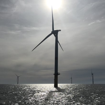 At IP Paris, fluid mechanics is being used to develop floating wind turbines and diversify energy sources