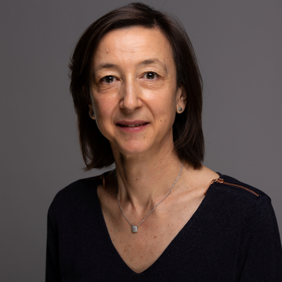 Interview with Anne Bourdon, researcher in plasma science