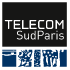 Télécom SudParis